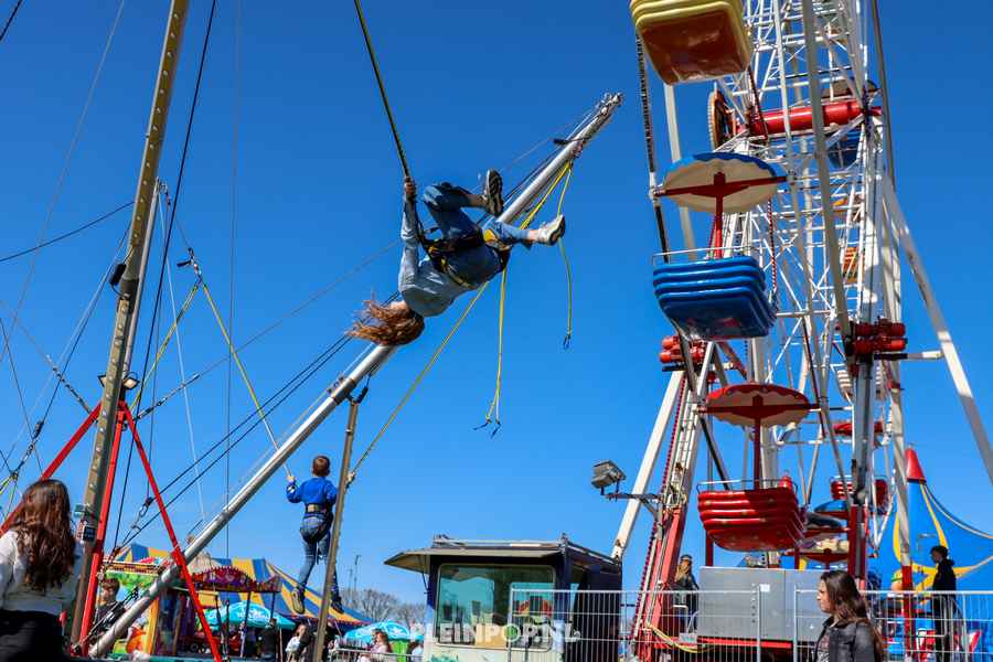 Sfeer Pleinpop Zondag (14)